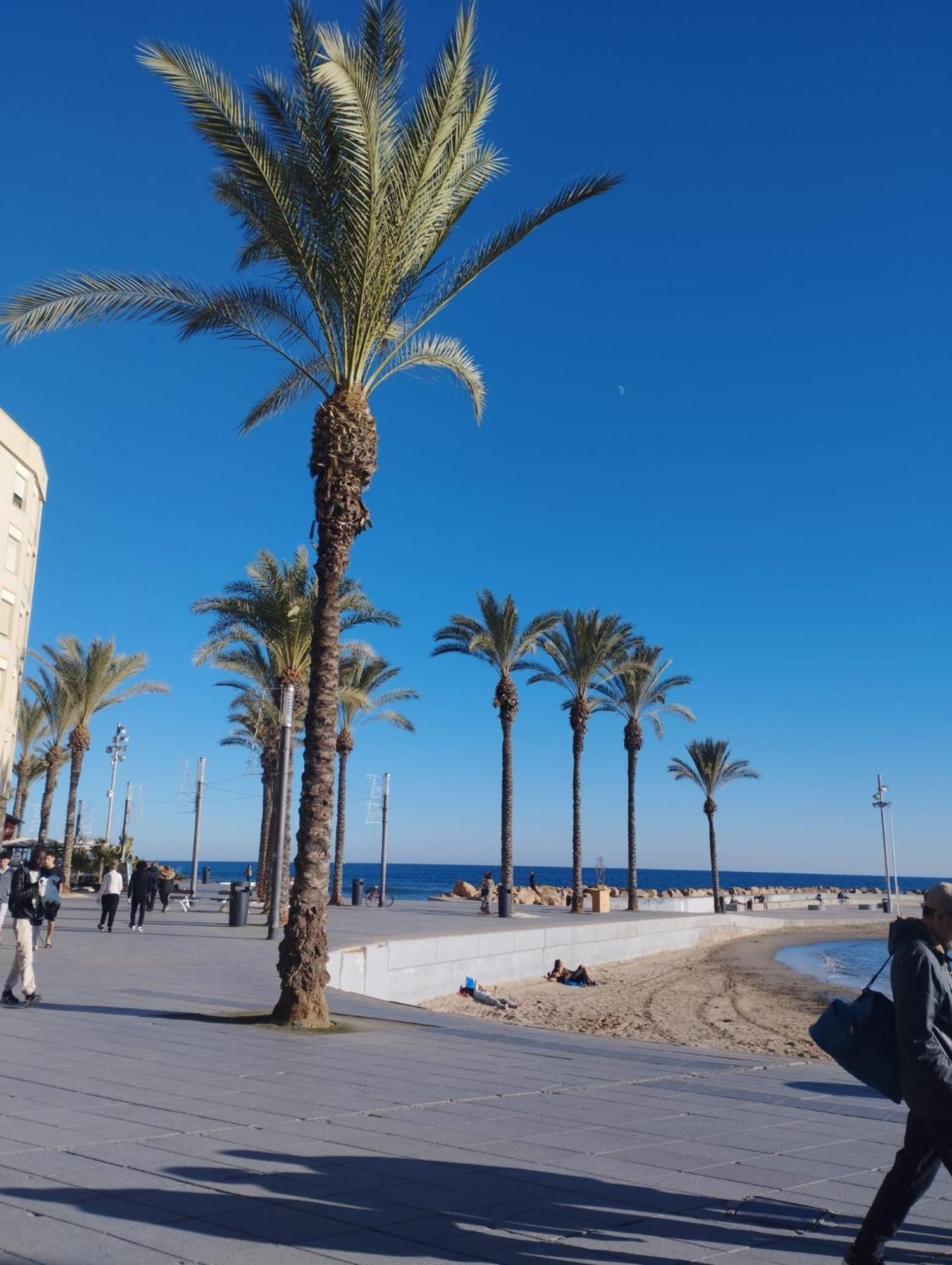 Просторная Квартира Рядом С Морем В Хорошем Районе Torrevieja Eksteriør billede